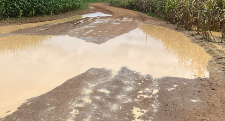 Alex Redano solicita melhorias nas Linhas 2 e 9 em Candeias do Jamari