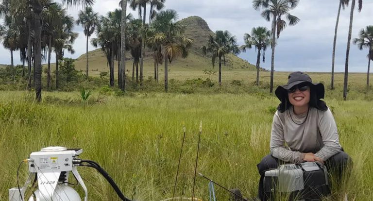 Áreas úmidas do Cerrado podem armazenar seis vezes mais carbono que a Amazônia
