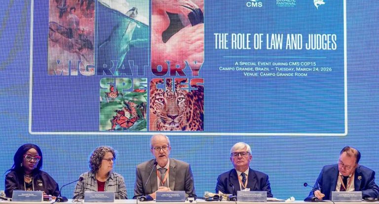 Bonito terá primeira vara judicial especializada no Pantanal