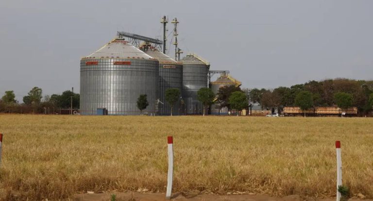 Brasil alcança sexta posição em crescimento econômico no G20