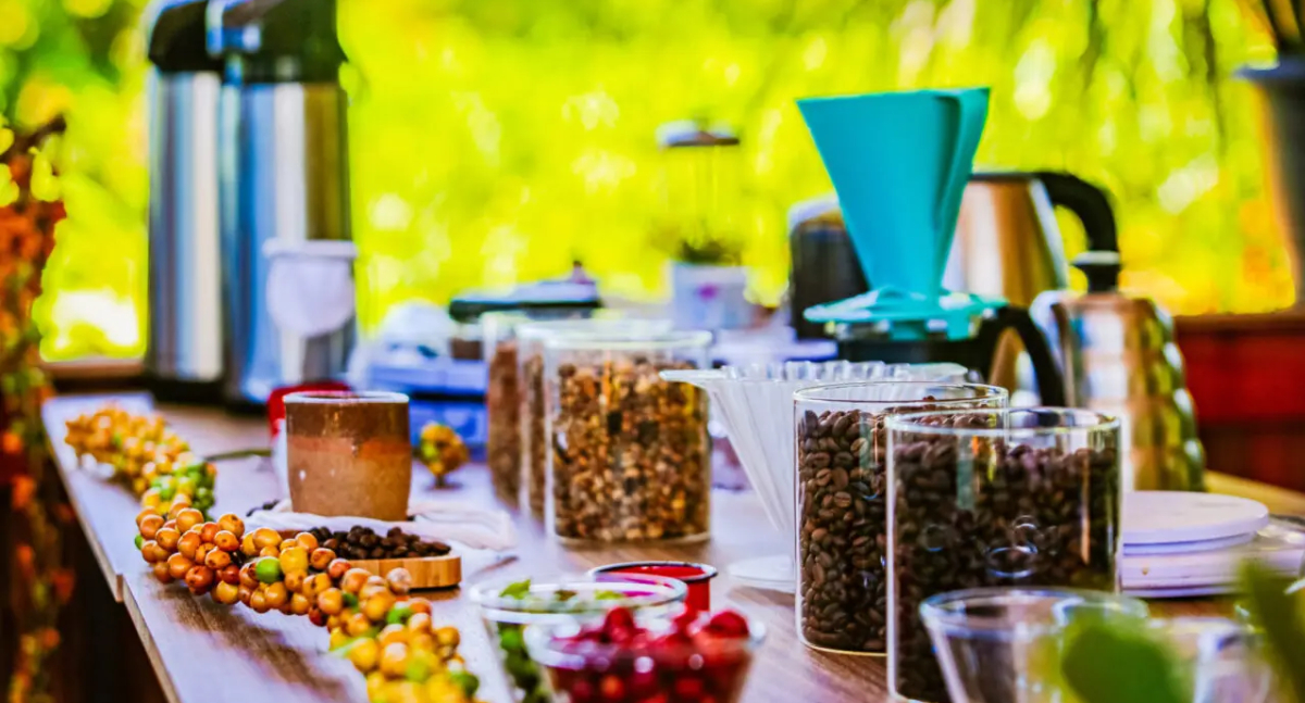 Chamamento público credencia fornecedores de Café Robusta Amazônico para a Sefin