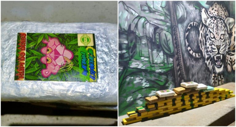 Operação na BR-425: 50 kg de drogas são apreendidos