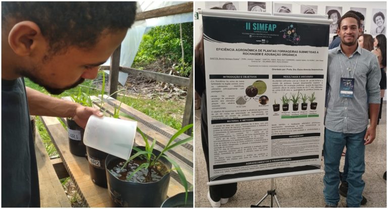 UNIR pesquisa pó de rocha como fertilizante sustentável