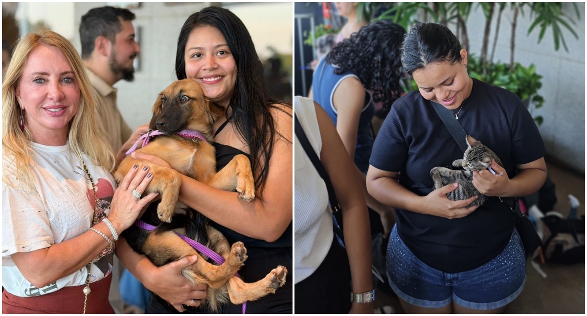 Ieda Chaves: feira garante 97 adoções em Porto Velho