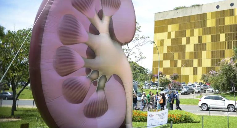 Dia Mundial do Rim: Especialistas alertam para o avanço silencioso de doenças renais