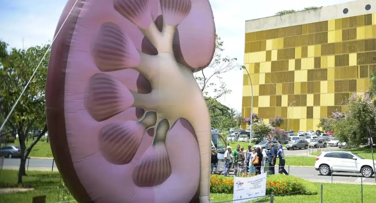 Dia Mundial do Rim: Especialistas alertam para o avanço silencioso de doenças renais