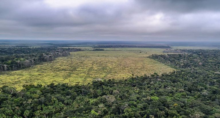 Emissões de gases estufa no Brasil caem 16,7%, mas meta para 2025 segue em risco
