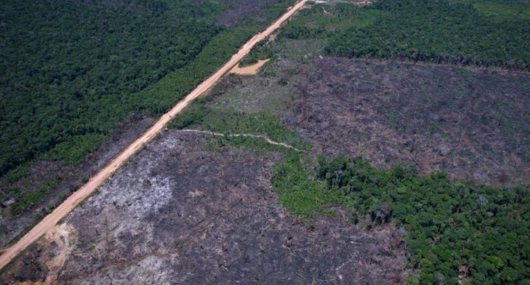 Entidades criticam urgência de projeto que altera Lei de Crimes Ambientais