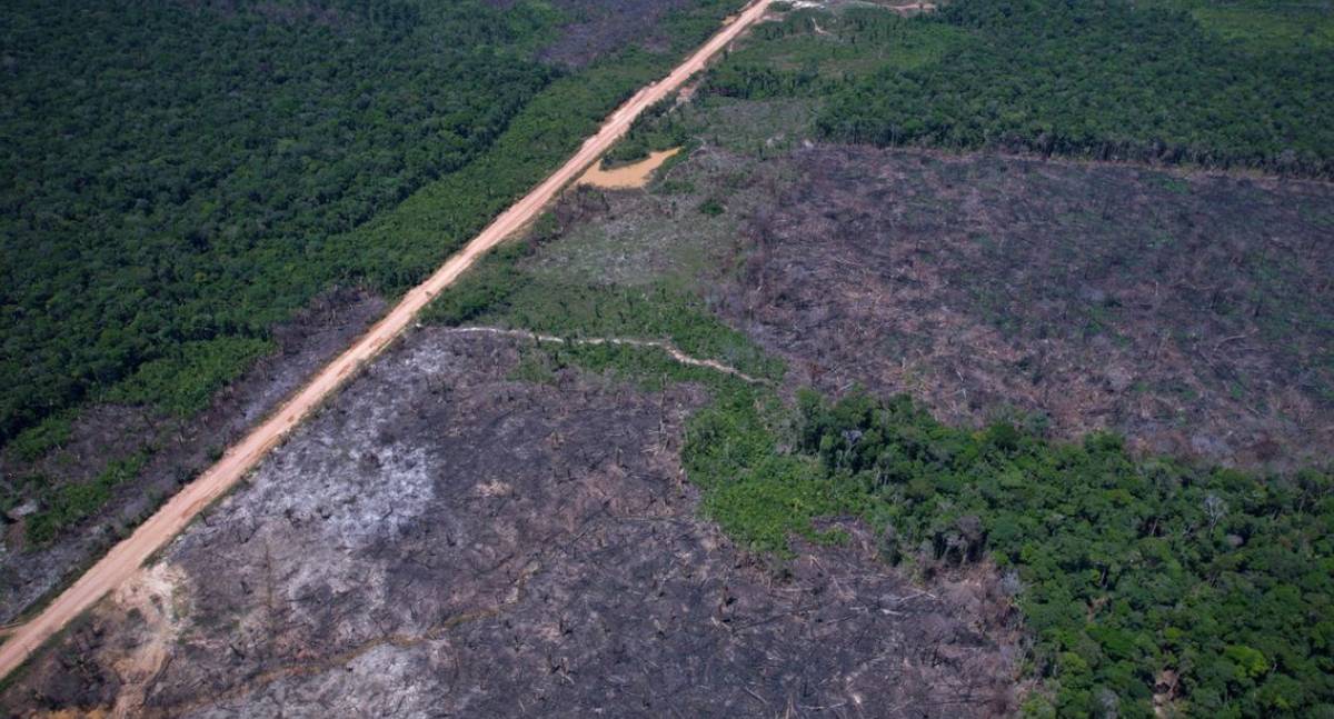Entidades criticam urgência de projeto que altera Lei de Crimes Ambientais