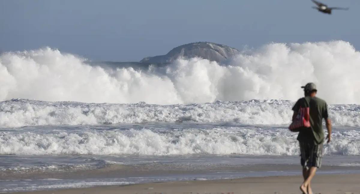 Expansão de faixas de areia gera controvérsia sobre impactos na biodiversidade do litoral brasileiro