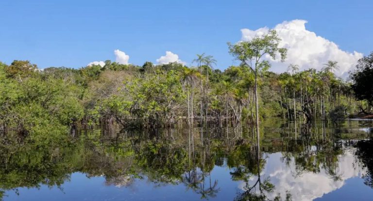 Governo federal mobiliza R$ 179 bilhões para transição ecológica desde 2023