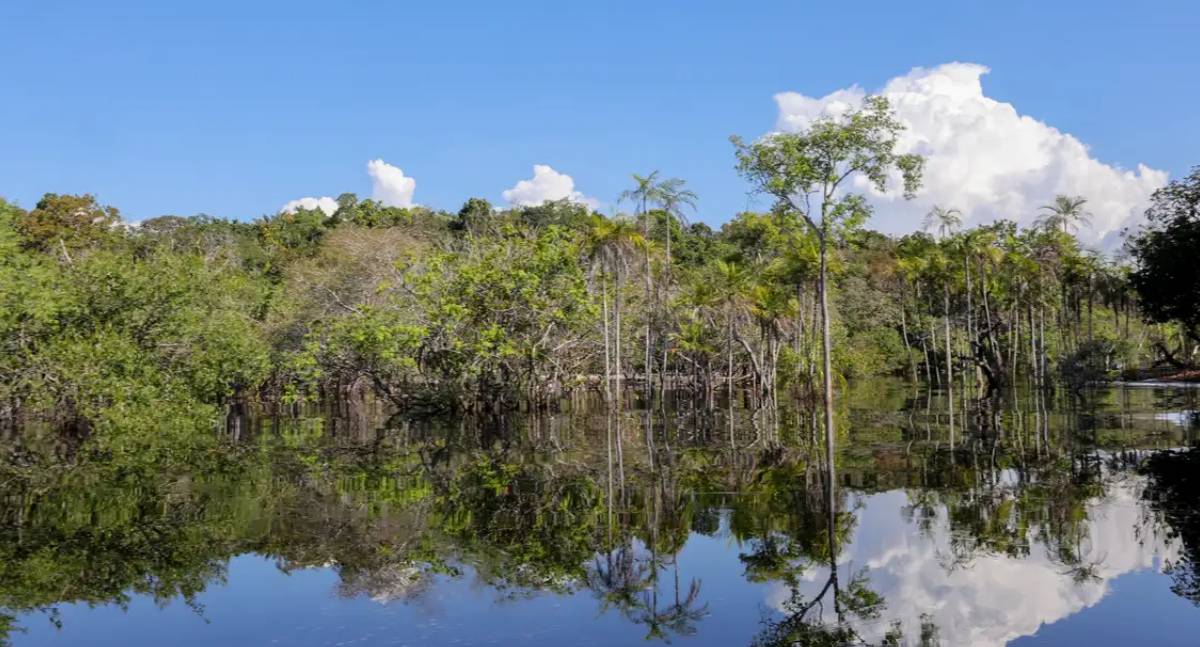 Governo federal mobiliza R$ 179 bilhões para transição ecológica desde 2023