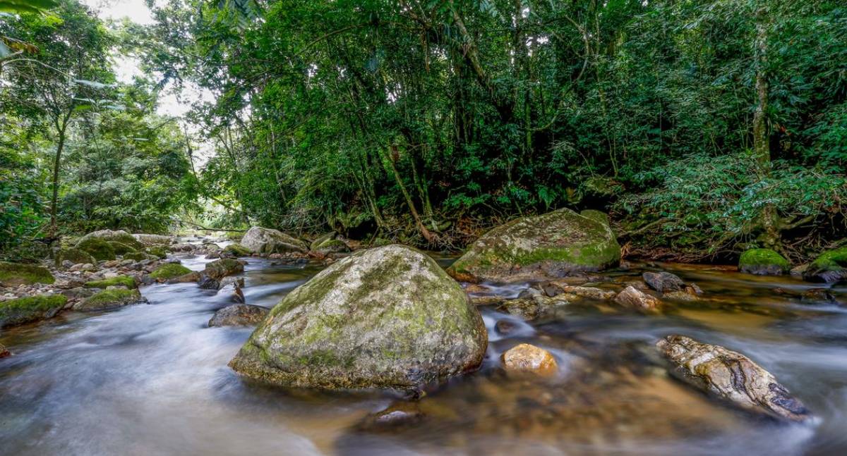 Governo lança plano decenal para fortalecer gestão ambiental brasileira até 2036
