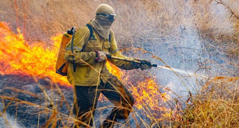 Governo lança Plano Nacional de Enfrentamento a Incêndios Florestais para 2026