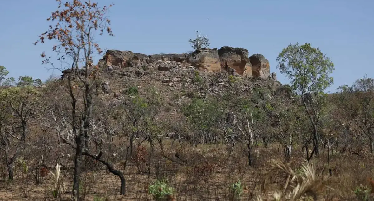 Inteligência artificial mapeia terras agrícolas abandonadas no Cerrado