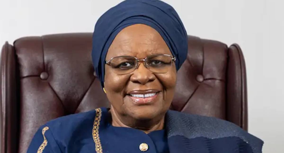 Lula e presidente da Namíbia discutem ampliação de investimentos em energia