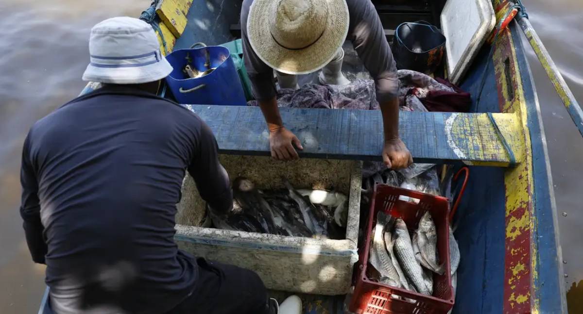 Ministério do Trabalho paga sexto lote do Seguro-Defeso nesta terça