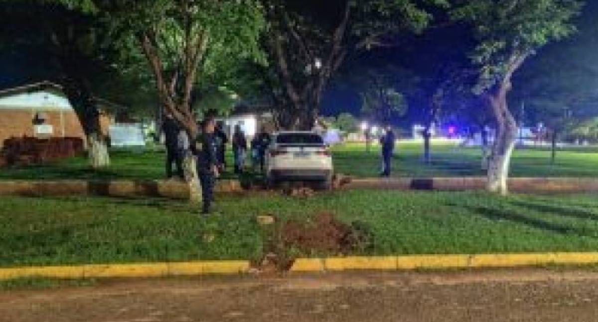 Motorista embriagado colide contra árvore e acaba preso em RO