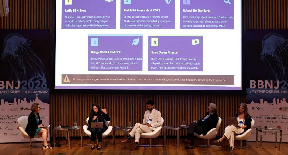 Mudanças climáticas ameaçam biodiversidade e segurança alimentar no alto-mar