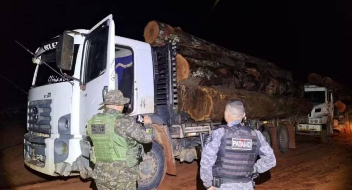 Operação Vesúvio localiza comboio com madeira ilegal em Rondônia