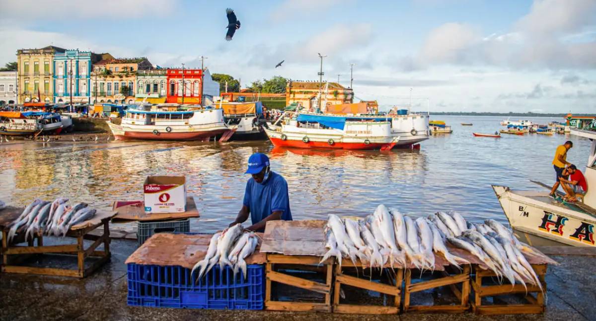 Peixes contaminados por metais tóxicos ameaçam saúde de ribeirinhos na Amazônia