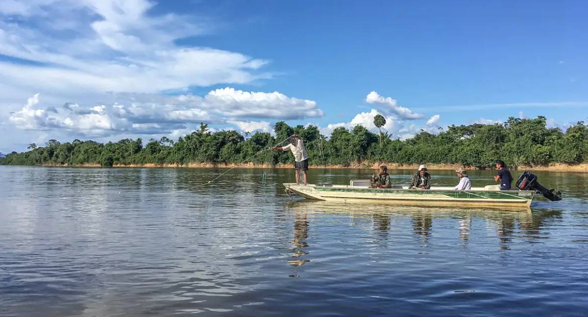 Peixes migratórios de água doce são as espécies mais ameaçadas do mundo