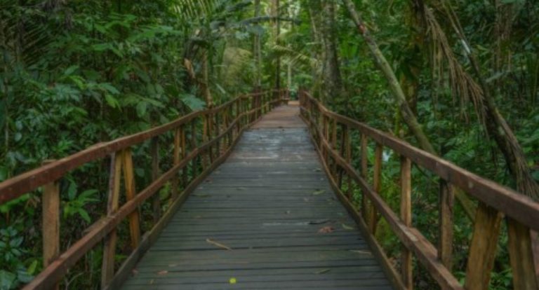 Piquenique no Parque Natural terá ônibus gratuito para mulheres