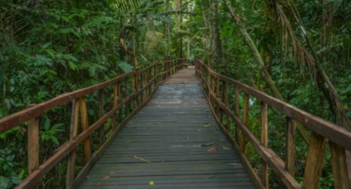 Piquenique no Parque Natural terá ônibus gratuito para mulheres