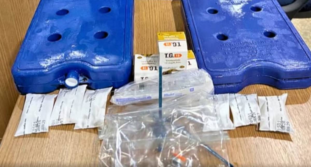 Polícia Civil desarticula venda clandestina de "canetas emagrecedoras" em RO