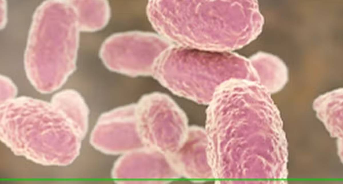 Porto Velho confirma primeiro caso de coqueluche em 2026