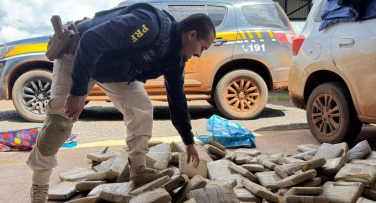 PRF apreende 167 kg de skunk em rota de desvio na BR-174