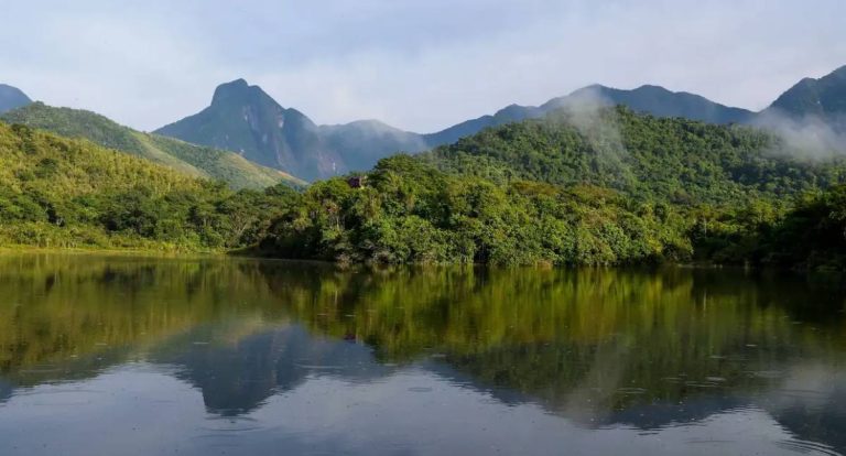 Qualidade dos rios da Mata Atlântica estagna em nível precário, aponta SOS Mata Atlântica