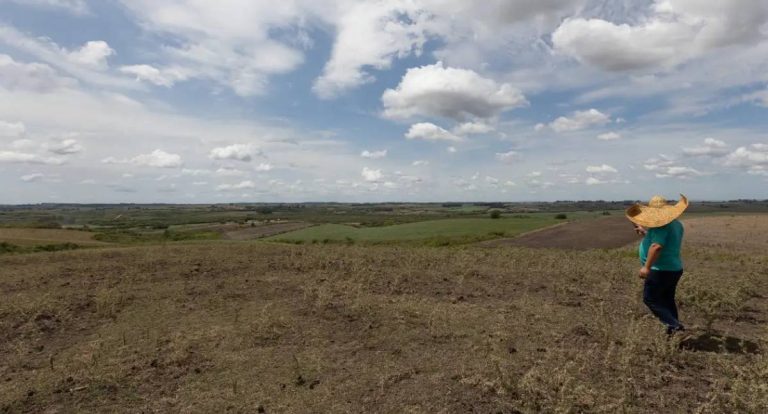 Seca recua em 17 estados brasileiros em fevereiro após chuvas acima da média