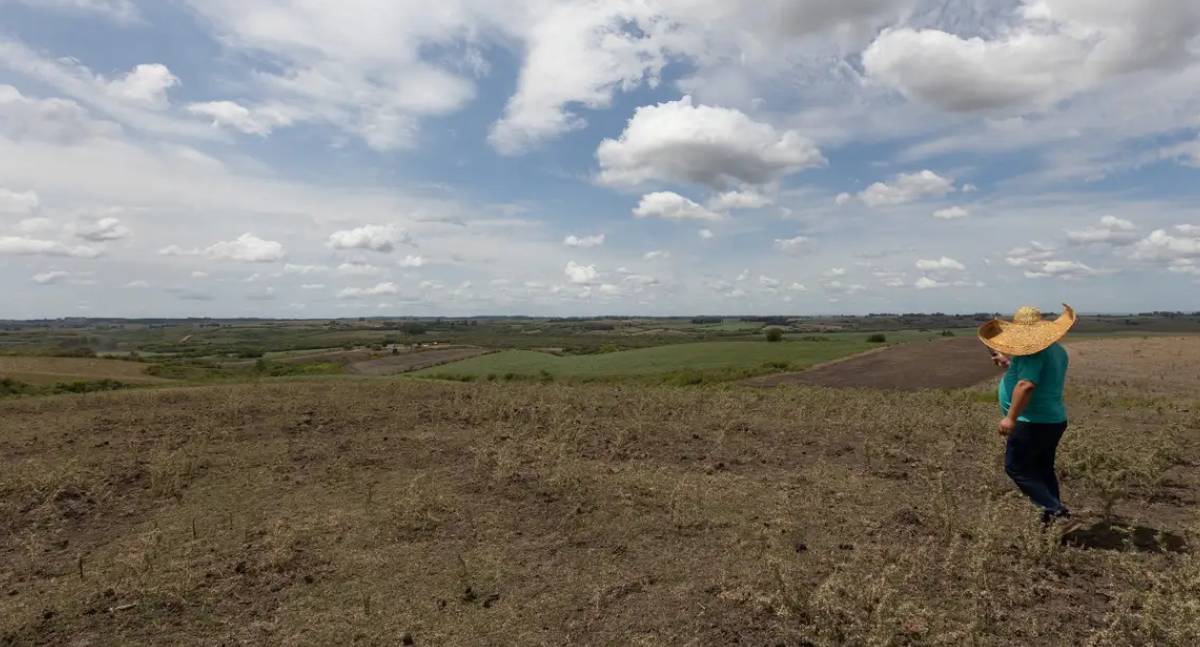 Seca recua em 17 estados brasileiros em fevereiro após chuvas acima da média