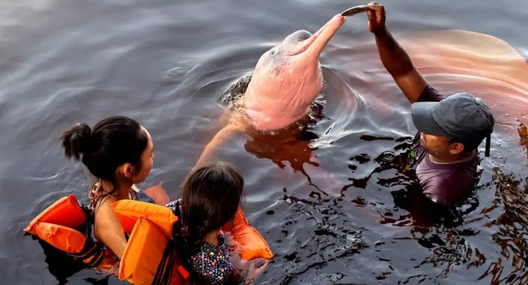 Segurança é o maior entrave para mulheres que viajam sozinhas no Brasil, aponta pesquisa