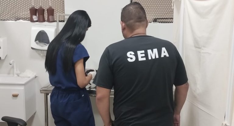Sema resgata gato em bueiro na zona Sul