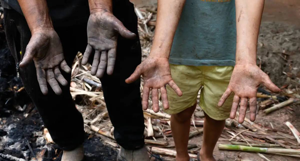 Um mês após tragédia, famílias da Zona da Mata Mineira lutam por reconstrução