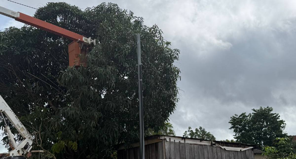 Poda preventiva garante segurança na zona Leste de Porto Velho