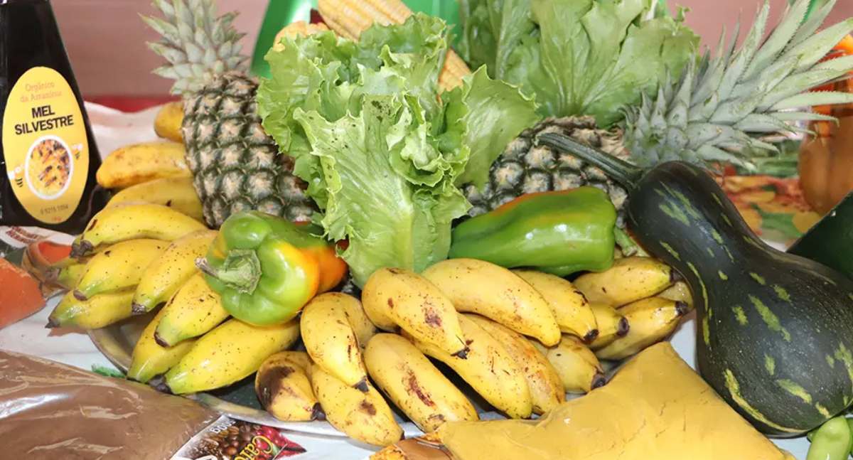 PAA começa entregas em Colorado do Oeste impulsionando produção rural e segurança alimentar