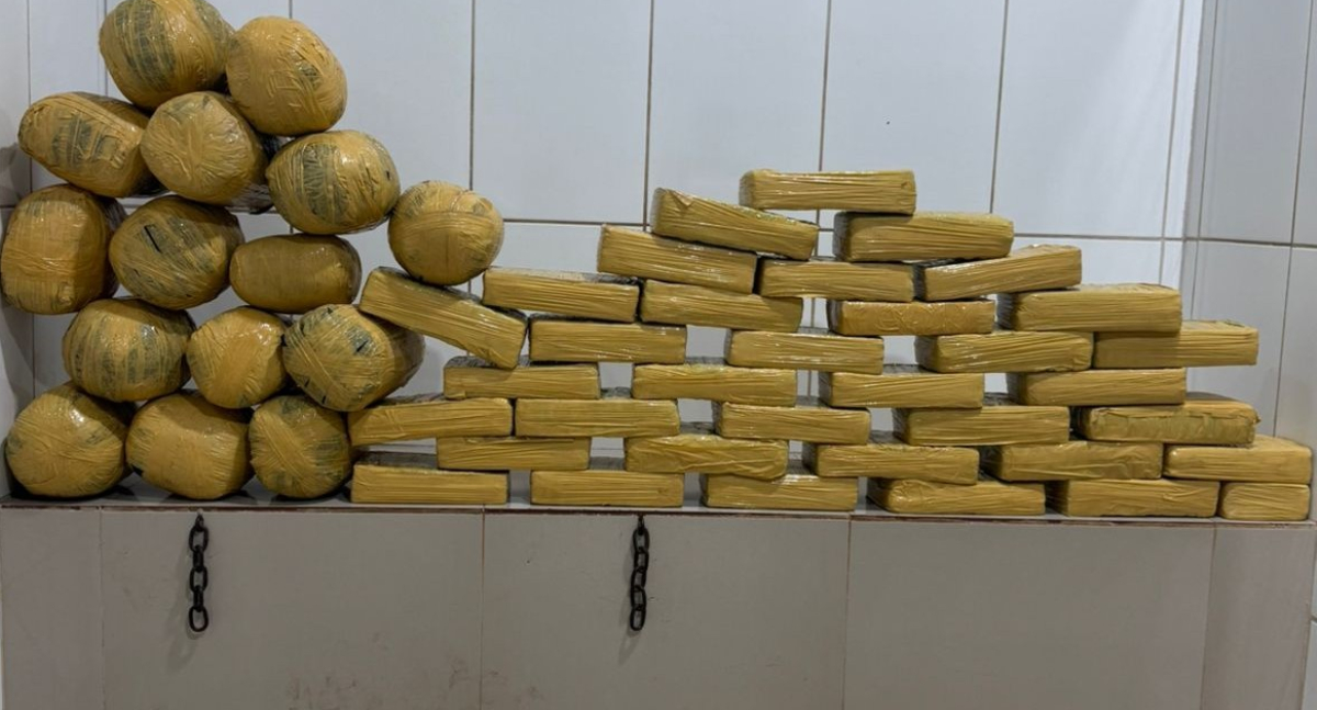 Polícia Militar apreende 54 kg de maconha em Cacoal