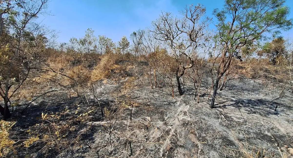 Mudanças climáticas já afetam 85% dos brasileiros
