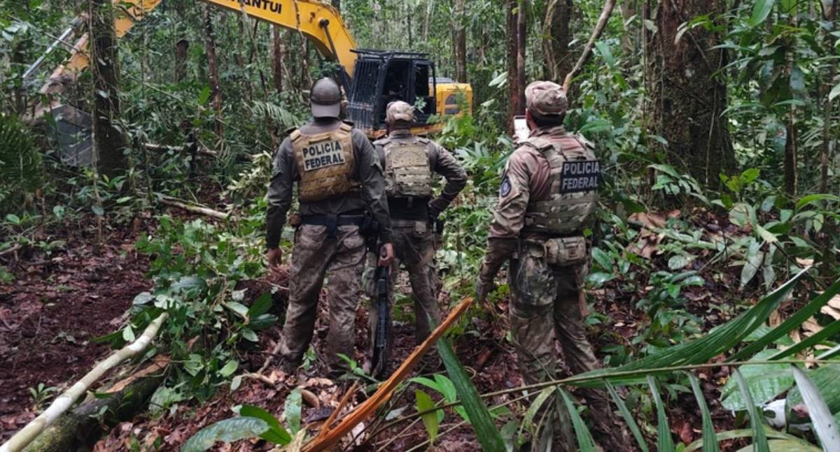 PF e ICMBio desativam garimpo ilegal em reserva no Amazonas