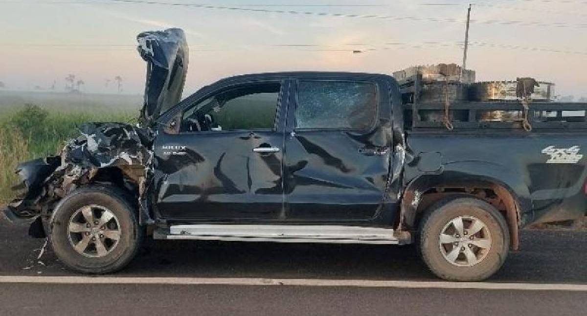 Vaca na pista destrói Hilux e causa acidente na BR-429