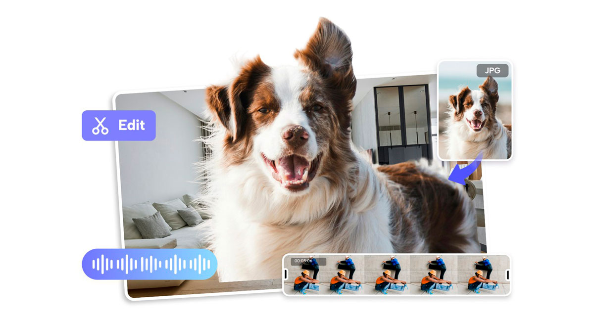 5 Prós de falar fotos para Clínicas Veterinárias e Educação Pet Care