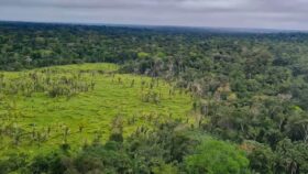 60% das terras indígenas na Amazônia registram desmatamento zero em levantamento do Imazon