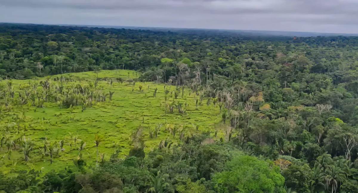 60% das terras indígenas na Amazônia registram desmatamento zero em levantamento do Imazon