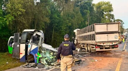 Acidente entre micro-ônibus e carreta deixa 23 mortos na BR-373