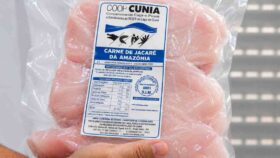 Agrotec 2026 destaca carne de jacaré do Cuniã em Porto Velho