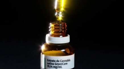 Anvisa registra alta nas importações de cannabis medicinal em 2026