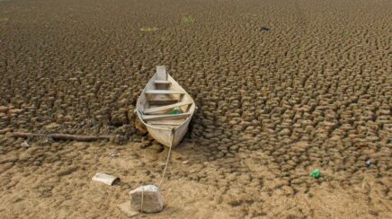 Brasil promete restaurar 163 mil km² de terras até 2030